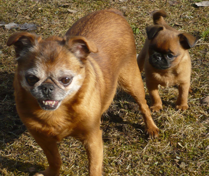 Luna och Bonza