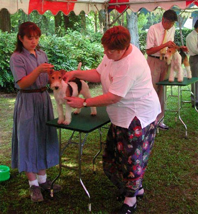 Siv Jernhake in Japan